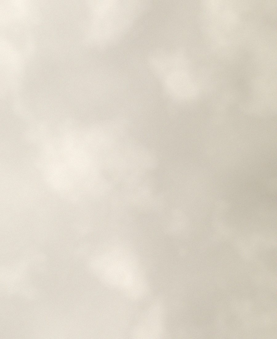 Sunlight on a plaster wall