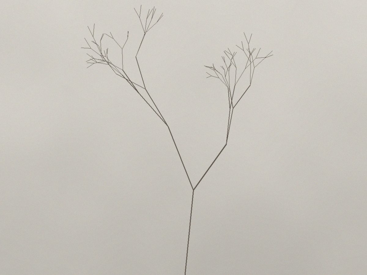 Dry Branch